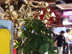 大堂-海吃海喝海鲜烤肉炭火主题自助餐(朝阳店)