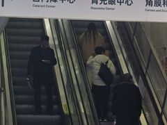 -浙江大学医学院附属第二医院(解放路院区)