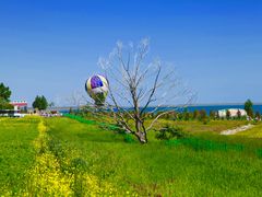 -青海湖国家重点风景名胜区