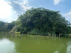 -海珠湖公园