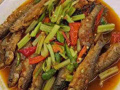 红烧野生三清小河鱼-菜当家