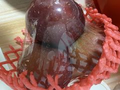 -PAGODA百果园(深圳天琴阁店)