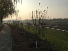 -洨河生态公园
