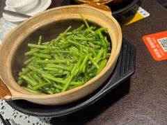 -熠盛粤味·顺德桑拿鸡(永康路店)