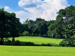 -罗浮山嘉宝田森林温泉度假酒店