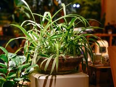 -时光花园(白鹭洲店)