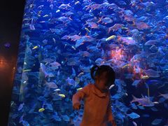 -成都浩海立方海洋公园