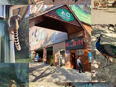 -泉州海丝野生动物世界