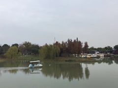 -尚贤河湿地