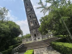 -上海佘山国家森林公园天马山园