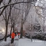 白雪却嫌春色晚，故穿庭树作飞花