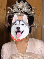 -盘子女人坊古装写真摄影(厦门总店)