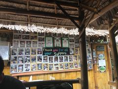 -Jungle Kitchen