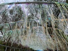 -长春公园(普阳街道)