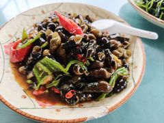 紫苏山坑螺-得福农庄