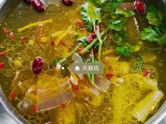 -乙丙丁正宗昭通天麻火腿鸡(总店)
