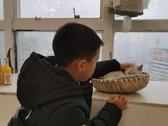 -共舞时光猫咖·狗咖(新街口店)