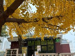 -辽宁大学(崇山校区)