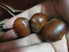 -秋栗香(地安门店)