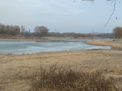 -北京麋鹿生态实验中心