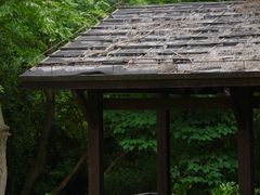 -盘龙城国家考古遗址公园