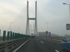 -小李子油焖大虾(南浦店)