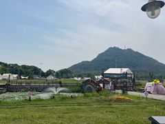 -桃花岛景观公园