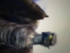 -牛喵喵铜锅牛肉馆