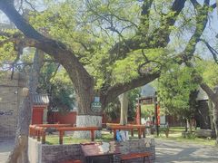 -洛阳周公庙博物馆