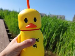 -永定河休闲森林公园