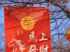 -沈阳植物园