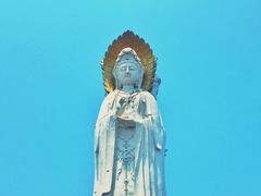 -白洋淀景区