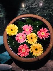 -琦品高端美容SPA私佳美场