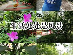 -经纬·泓汇地标家园