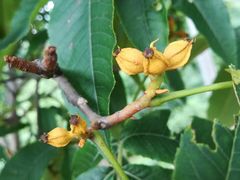 -东天目山风景区
