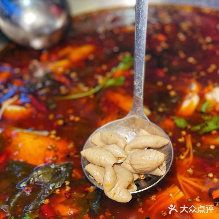 小称盘肥肠爱上鱼 | 魔都zui好吃的肥肠鱼锅,辣得爽快!