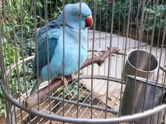 -南宫五洲植物乐园