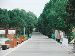 -崔岗艺术村