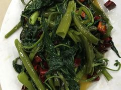 -天一沾水肥肠(科园一街店)