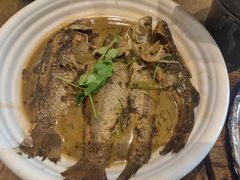 -新木器时代餐厅(太湖新天地店)