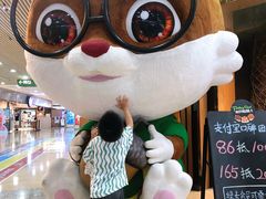 -三只松鼠