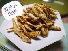 -白氏鲶鱼汤(白亮1号店)