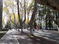 -华中科技大学百景园(三楼酒店)