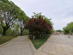 -元大都城垣遗址公园