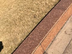 -上海市龙华烈士陵园