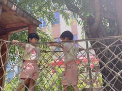 -金宝幼儿园(通州校区)