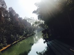 -同里国家湿地公园