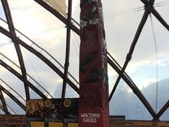 景点-怀托摩萤火虫洞