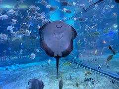 -绿色星球动物主题公园