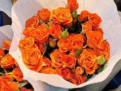 -三圣花乡旅游区